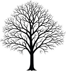 Obraz premium Silhouette of a Bare Tree with Branches Isolated on White Background Vector Illustration