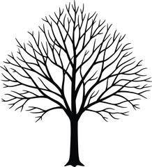 Obraz premium Silhouette of a Deciduous Tree in Winter Bare Branches Against a White Background Simple and Elegant