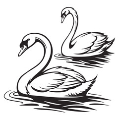 Elegant Swans Floating Serenely on Water, a Timeless Black and White Illustration of Graceful Birds