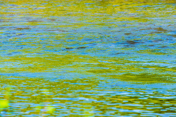 夏の川　川の流れ水面の表情31