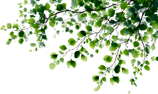 Tranquil watercolor illustration of green tree leaf on fresh branch - Powered by Adobe