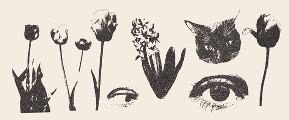 Photocopy tulip and primula flowers collage set. Cutout grunge photocopies eyes and cat elements for mixed media design. Pieces of retro magazine halftone wildflowers. Vector illustration isolated.
