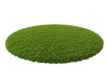 Lush Green Round Grass Patch in Bright Sunlight, Ideal for Outdoor Activities and Relaxation