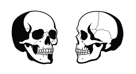 Black and White Human Skull Vector Set &ndash; Front and Side View