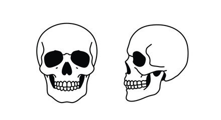 Black and White Human Skull Vector Set &ndash; Front and Side View