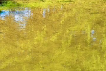 夏の川　川の流れ水面の表情50