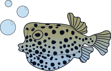 Colorful cartoon pufferfish with bubbles, detailed spotted ocean fish illustration in transparent PNG format, perfect for marine animal designs, underwater themes, and sea life projects.