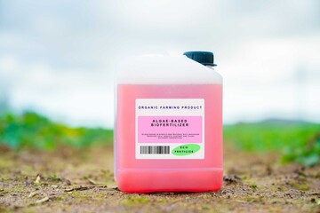 Algae-based biofertilizer