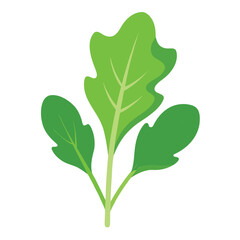 green leaves isolated on white background