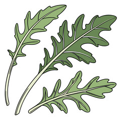 oak leaves vector