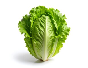 green lettuce isolated on white background