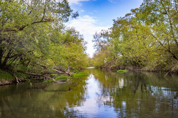 Spring river in the wild