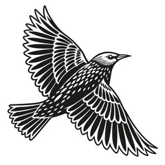 Dynamic Starling in Flight A Bold Black and White Avian Silhouette Design
