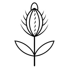 Obraz premium teasel line art on white-background