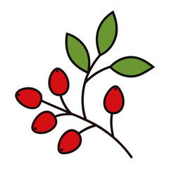 vector illustration of a cherry