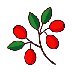 vector illustration of a cherry