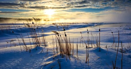 Serene winter landscape with snow-covered reeds and a golden sunrise over a misty river - Powered by Adobe