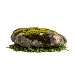 A rock covered in moss surrounded by green fern like plants isolated on transparent background