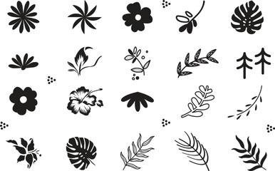 Beautiful romantic flower collection with roses, leaves, floral bouquets, flower compositions