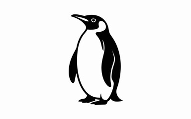 penguin on a white background