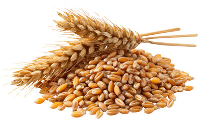 Golden wheat grain and stalk pile for natural, wholesome food background