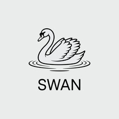 vector illustration of a swan © pixelartis