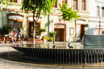Brunnen und Fontäne Mark Aurel am Friedensplatz, Kulturhauptstadt 2026, Trenčín, Slowakei