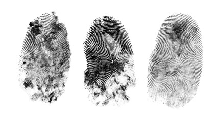 Three black and white fingerprints with unique patterns isolated, transparent background