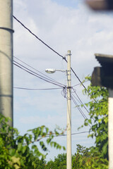 Concrete utility pole with attached power lines and streetlight surrounded by greenery, vertical...