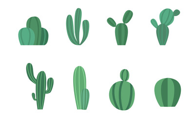 Set of Cartoon colorful cactus and succulents. Decorative flowers and plants. Isolated icons illustration. Collection of exotic plants.