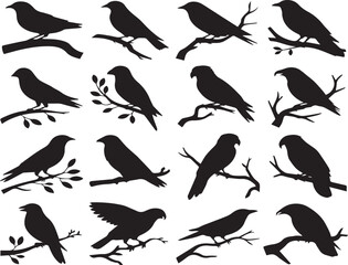 Silhouettes of birds perched on branches against a black background