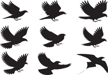 Silhouettes of birds in flight with wings spread