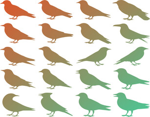Gradient silhouettes of birds on a black background