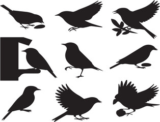 Collection of bird silhouettes in various poses