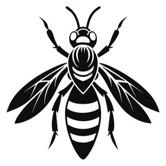 Monochrome Graphic of a Honeybee with Detailed Wings and Body Pattern Markings a Striking Black and White Illustration