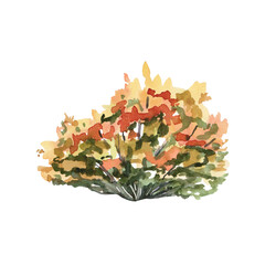 Autumn bush in yellow-green tones. Isolated watercolor illustration for design of garden center brochures, apartment interior, seasonal restaurant menu, printing on postcards.