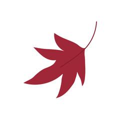 Bright orange maple leaf in the wind on a white background. Hand drawn vector illustration for autumn designs.