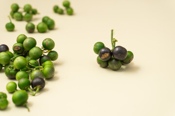 Fresh leunca (Solanum nigrum) berries