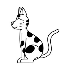 animal logo and icon images