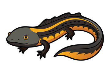 Cartoon Rough Skinned Newt Illustration with Bold Outlines and Striking Orange Markings on a White Background