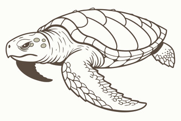 Contour Drawing of a Sea Turtle Swimming with a Determined Expression, a Detailed Vector Illustration