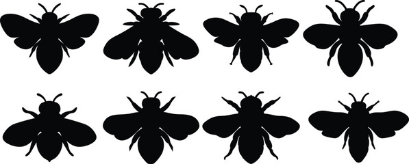 a photo of various black and white bumble bees, digital illustration, minimalist, vector graphic, monochrome, simplistic design
