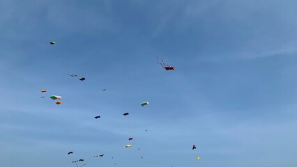 kites high in the sky