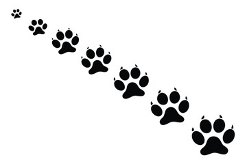 Cute cat paw print trail illustration on a clean white background