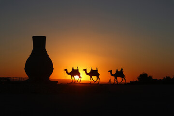 Kamel im sonnenuntergang