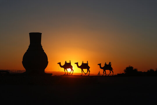 Kamel im sonnenuntergang