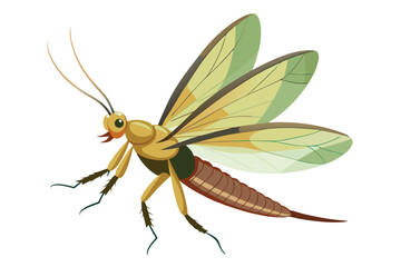 Cartoon Stonefly Insect Illustration with Four Wings and a Segmented Body a Depiction of Nature's Diversity and Insect Morphology
