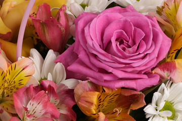 Bouquet of flowers, chrysanthemum, rose, lily, carnation.
