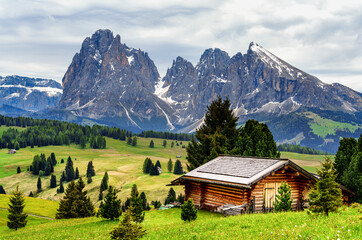 Obraz premium alpa del suisi with cloudy day happy walking