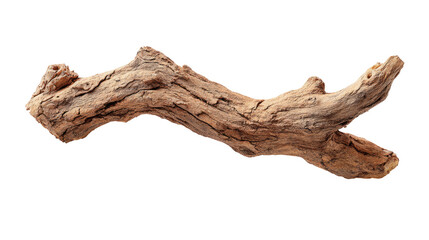 Full View of a Single Dry Tree Branch with Irregular Shape on Transparent Background


